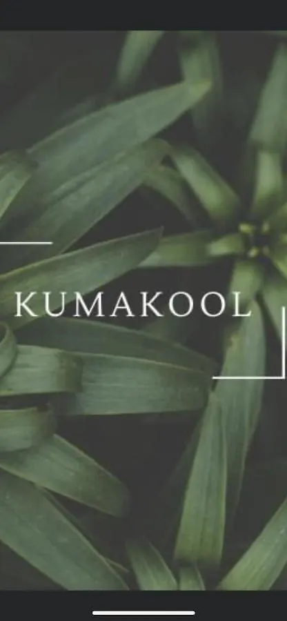 Kumakool Condos Playa del Carmen 0*,